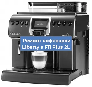 Замена фильтра на кофемашине Liberty's F11 Plus 2L в Нижнем Новгороде